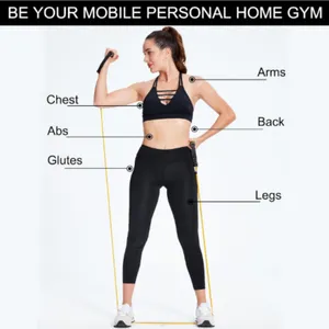 Resistance Band With Handles and Door Anchor, Adjustable Exercise Tube Band for Physical Therapy, Strength Training, Pilates and Home Workouts thumbnail-4