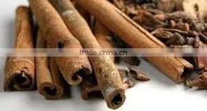 Pure, Cinnamon Oil thumbnail-5