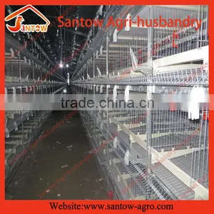 Stable Steel Structure Large Scale Chicken Egg Layer Cage Automatic Poultry Farm Design thumbnail-5