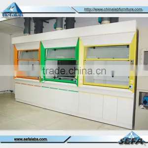 Laboratory Biosafety Cabinet Fume Chamber Vertical Laminar Air Flow Cabinet thumbnail-1