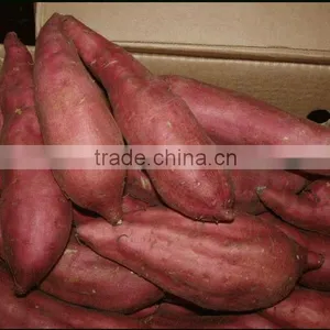 Sweet Potatoes thumbnail-1