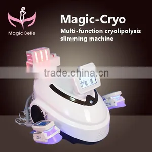 High Quality!! Two Cool Handles Working At Same Time Skin Lifting Fat Freeze Machine Cryolipolysis Lose Weight With Teaching Video Fat Freezing thumbnail-1