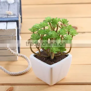 Succulent Plants Tropical Plants Artificial Succulent Plants With Pot, Potted Plastic Plant thumbnail-1