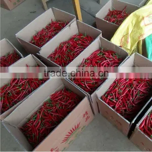 2016 New Crop Factory Exporter Fresh Red Chilli With Haccp, Halal Certificates thumbnail-4