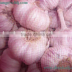 Chinese Exported Peeled Garlic thumbnail-4