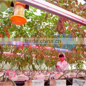 Agricultural Greenhouse Light thumbnail-4