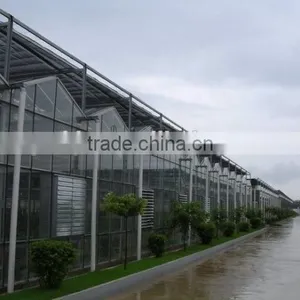 Tropical Multi Span Greenhouse for Agriculture thumbnail-3