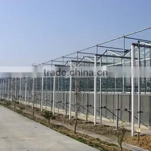 Competitive Price Greenhouse Hydroponics Strawberry thumbnail-3