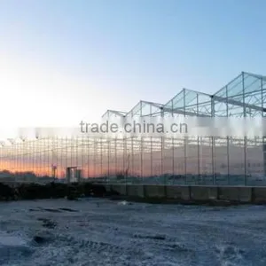 Glass Greenhouse-1 thumbnail-2