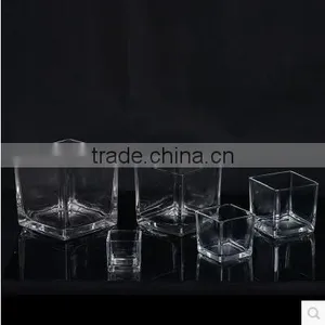 Home Table Decoration Square Clear Glass Plant Hydroponic Container Flower Vases thumbnail-2