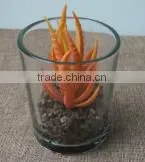SJ10181201 Wholesale All Types Of Artificial Cactus Plants thumbnail-6