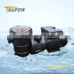 China Supply Electric Swimming Pool Pumps and Filters thumbnail-1