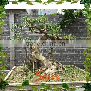 Mini Artificial Plastic Banyan Tree 7ft Fake Curved Trunk for Home Decoration thumbnail-3