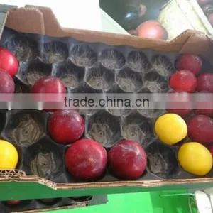 Safety Protection Plastic Alveolar PP Fruit Packing Tray thumbnail-1