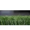 Supply Leisure Grass--Supply Leisure Grass thumbnail-1