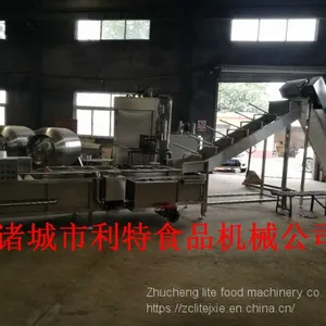 Raisin Washing Line Raisin Cleaner Raisin Processing Equipment thumbnail-1