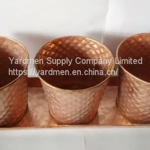 2018 Copper Painting Finish of Iron Flower Pot With Handle thumbnail-2