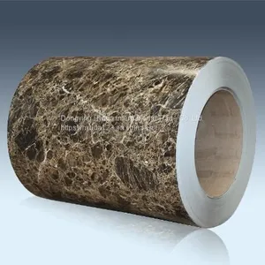Pattern Designed PPGI With Wood Grain and Brick thumbnail-4