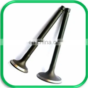 Cross-country Spare Parts Engine Valve for Izuzu Bighorn Ubs69 4XJ1 4JG2 4ZE1 thumbnail-6