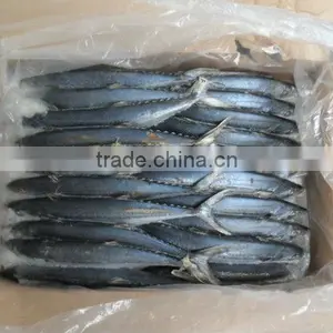 Seafood Spanish Mackerel thumbnail-2