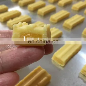 Commercial Type Fig Bar/ Date Bar/ Fruit Bar Making Machine Automatic Encrusting Machine Manufacturer thumbnail-3