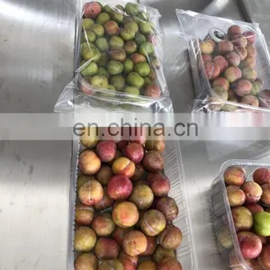 Cherry Fruit Vegetable Automatic Packing Packaging Machine With Tray In Plastic Bag 2.5KG thumbnail-2