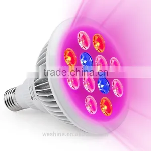 Amazon Hot in USA Europe 24w 12w E27 Led Garden Light Chinese Best 12w E27 Led Plant Grow Lights PAR38 E27 12W Led Grow Light thumbnail-1
