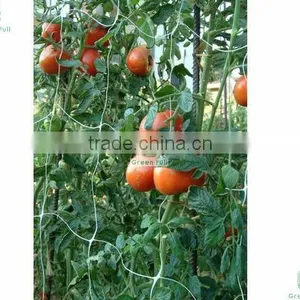 GARDEN PEA MESH NETTING thumbnail-1