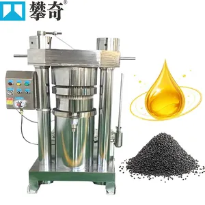 Automatic Hydraulic Oil Press Machine 220V/380V for Cold/Hot Pressing Processing thumbnail-2