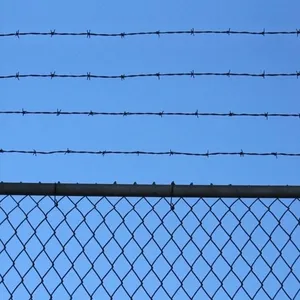 Hot-Dip Galvanized Barbed Rope Ordinary Barbed Wire Fence for Trellis & Gates thumbnail-6