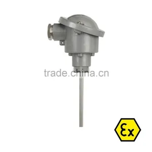 Sensor Without Thermowell thumbnail-1