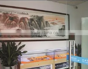 Shenzhen Sihanming Technology Co., Ltd. company overview - view 1 thumbnail
