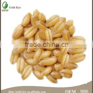 Wheat Germ Oil for Best Carrier Oil thumbnail-2