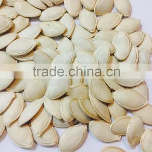 Bulk Vegetable Seeds China Shine Skin Pumpkin Seeds Grade a thumbnail-3