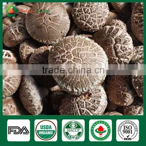 Mushroom Spawn for Sale,Shiitake Mushroom Spawn Wholesale Supplier thumbnail-2