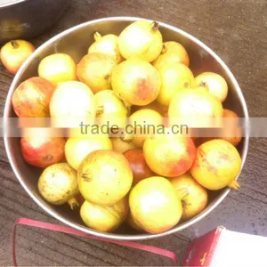 High Quality for Pomegranate Peeling Machine thumbnail-3