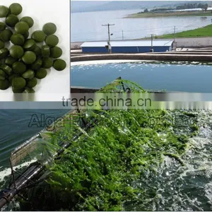 Dietary Spirulina Tablet Canned Packing thumbnail-1