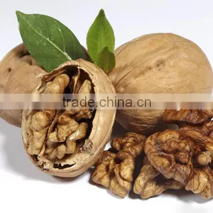 Cheap100% Organic Walnuts in Shell Price thumbnail-2