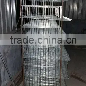 Automatic Quail Bird Layer Cage System Supplier's Choice thumbnail-2