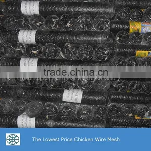 The Lowest Price Galvanized Wire Chicken Wire Mesh thumbnail-2