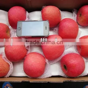 Crop Fuji Apple thumbnail-1