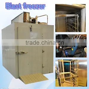 Blast Freezer/shock Freezing Machine for Food thumbnail-1