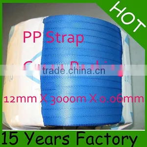 High Quality and Visibility 5mm PP Strap thumbnail-4