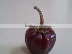 Mundu Red Chilles From India thumbnail-5