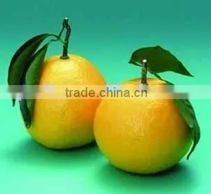Fuji Apple thumbnail-3