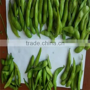 Chinese Frozen Green Soy Bean, IQF Edamame thumbnail-4