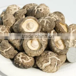 Factory Direct Sale Export Mushroom Price Dried Shitake thumbnail-2