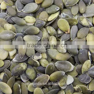 Sell Shine Skin Pumpkin Seeds Kernels and GWS Pumpkin Seeds Kernels and GWS Pumpkin Seeds thumbnail-2