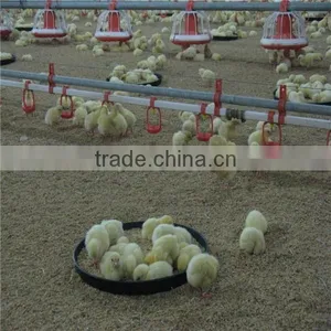 Manufacturer Broiler Poultry Farm Equipment thumbnail-6