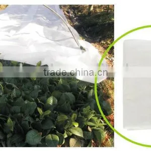 Plastic Film LY-H1002 thumbnail-1